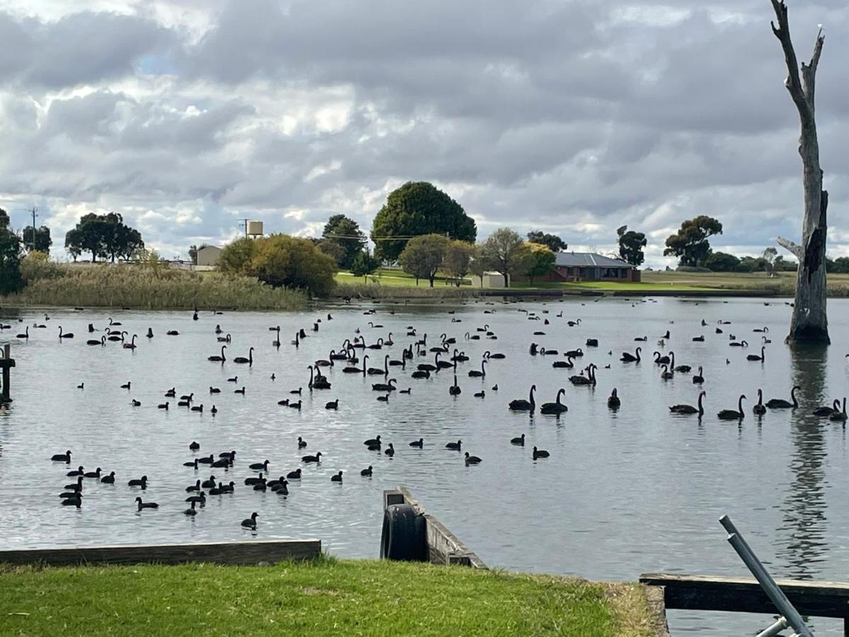 Tasman Holiday Parks - Lake Mulwala Esterno foto